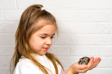 Beyaz tişörtlü şirin küçük bir kız kollarında Dzungarian hamsterını tutuyor.