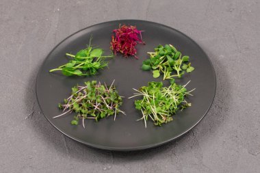Gri arka planda gri bir plaka üzerinde filizler. Mikroyeşil turp, hardal, arugula, bezelye, aroma, antioksidan, detoks, diyet, salata takviyesi. Vejetaryen, sağlıklı yemek. Boşluğu kopyala, üst görünüm.