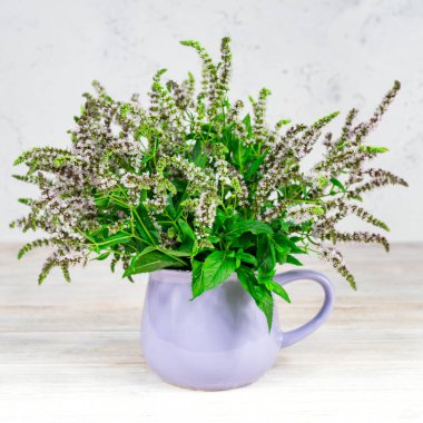 Beyaz ahşap arka planda, leylak kabında yeşil yapraklar olan leylak renkli nane çiçekleri. Çay için ev yapımı otlar. Yakın plan..