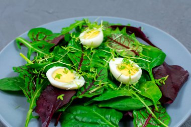 Mikro yeşil lahanalı marul yaprağında kaynatılmış bıldırcın yumurtaları. Düzgün beslenme. Vejetaryen yemeği.