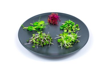 Bezelye, kırmızı lahana, amaranth, hardal, gri bir tabakta turp. Uygun beslenme.