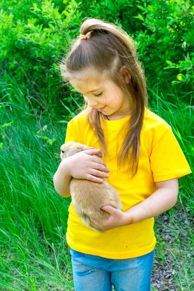 Niña linda juega con un conejo de jengibre real sobre un fondo de plantas verdes. Actividades al aire libre de verano para niños con mascotas. Chica jugando con un conejo real — Foto de Stock