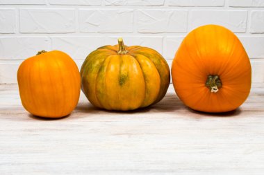 Farklı boyutlarda ve şekillerde üç balkabağı, beyaz arka planda bir sırada duruyorlar.