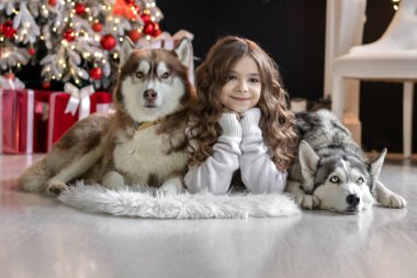 Noel geçmişinde iki Husky olan bir kız..