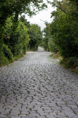 Bereketli ağaçlar ve yeşilliklerle dolu sakin, kaldırım taşlı bir yol huzurlu bir kır yürüyüşünü davet ediyor..