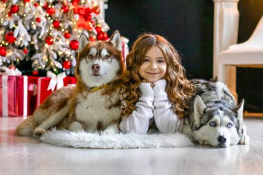 A smiling girl lies between two huskies near a decorated Christmas tree with gifts.