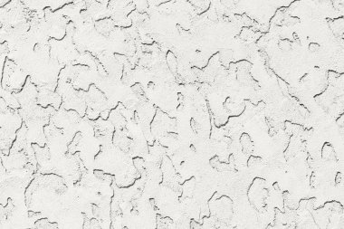 Düzensiz dokusu, gölgeleri ve ince ayrıntıları olan pürüzlü beyaz bir duvar. 2026 Yılının Gösteri Rengi