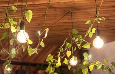 Sarmaşık yaprakları arasında parlayan sıcak ampuller, kırsal ahşap tavanı ve samimi, rahat atmosferi geliştirir..