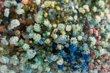 Çiçek dekoru ve kutlama temaları için mükemmel, küçük pastel çiçekleri ve gövdeleri sergiliyor..