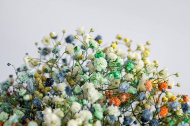 Beyaz, sarı, mavi, yeşil ve turuncu renkli küçük çiçeklerin canlı bir karışımı..