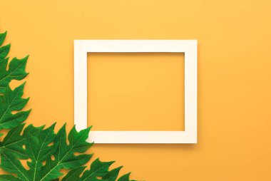 Tahta çerçeve içinde tropikal yaprak