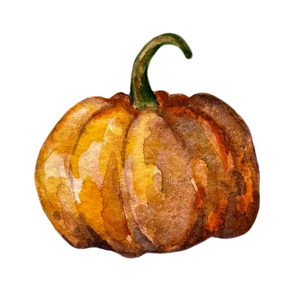 Großer orangefarbener Kürbis. — Stockfoto