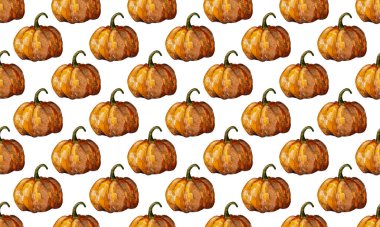 Büyük turuncu balkabağı.