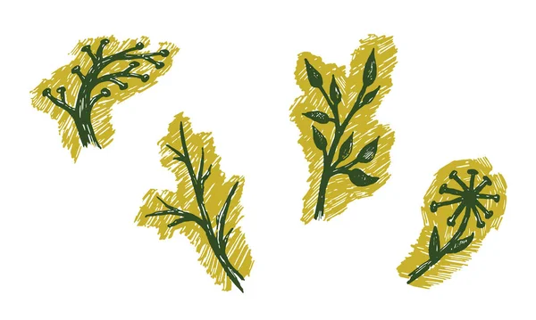 草本植物的手绘病媒图解 — 图库矢量图片