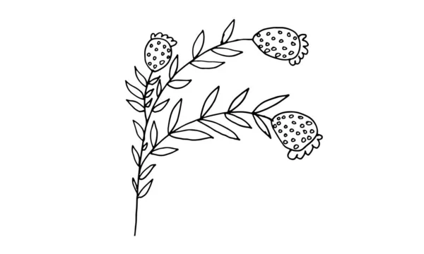 Ручной рисунок цветка каракулей — стоковый вектор