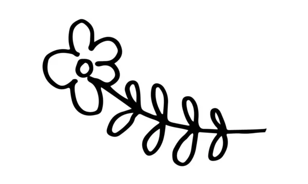 Handgetekende doodle bloem illustratie — Stockvector