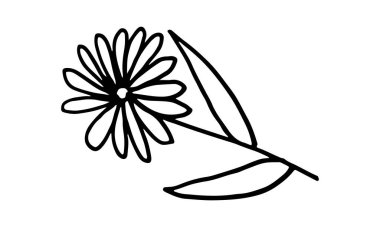 Çiçeğin karalama çizimi