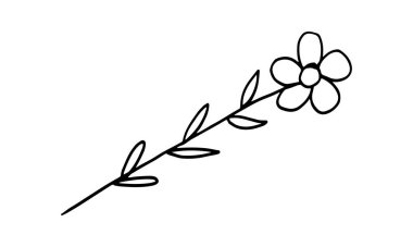 Çiçeğin karalama çizimi