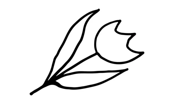 Doodle ภาพวาดของดอกไม้ — ภาพเวกเตอร์สต็อก