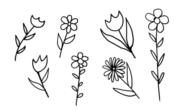 Doodle illustrazione di fiore — Vettoriale Stock