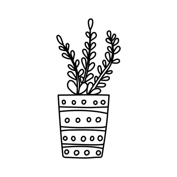 Plantas de interior elaboradas a mano — Vector de stock