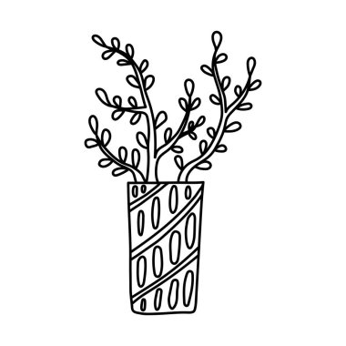 El yapımı ev bitkileri