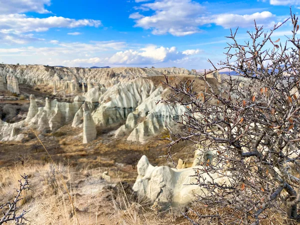 手前の枯草の木。カッパドキアの丘や山の景色 — ストック写真