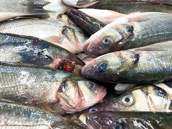 Fresh fish on the market — Stock Photo, Image