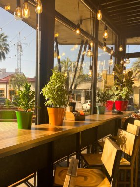 Ev bitkileri ve sarı lambalarla dolu rahat bir kafe.