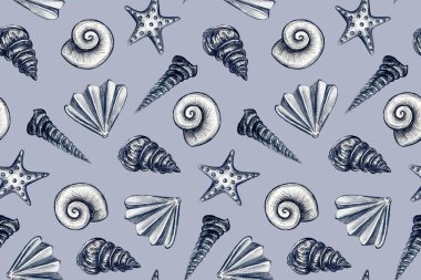Elle çizilmiş deniz kabuklarının tasviri ile kusursuz desen
