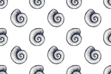 Elle çizilmiş deniz kabuklarının tasviri ile kusursuz desen