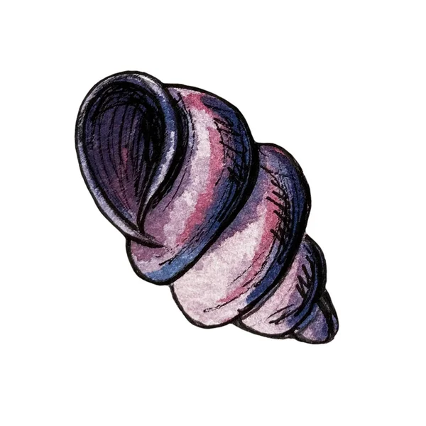 Ručně kreslený akvarel ilustrace zkroucené mušle — Stock fotografie