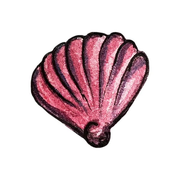 Kézzel rajzolt akvarell illusztráció kagyló kagyló — Stock Fotó