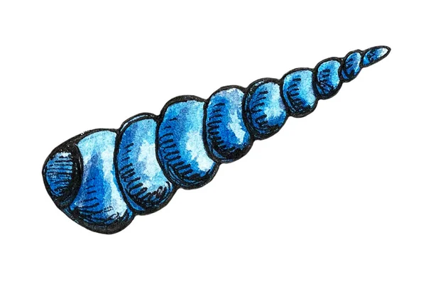 Handgezeichnete Aquarell-Illustration einer langen gedrehten Muschel — Stockfoto