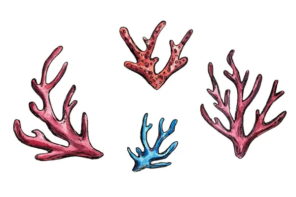 Ilustração aquarela desenhada à mão de corais defferentes — Fotografia de Stock