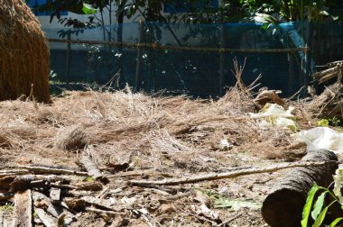 Kuru saman yığını ve kırsal alanda kırsal ve köy elementleriyle kütük döküntüleri.