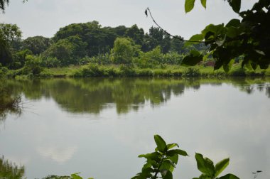 Kalın yeşil bitki örtüsü eski bir beton boruyu sarıyor. Aşırı büyümüş doğanın güzelliğini sergiliyor. İçinden yavaşça su akıyor..