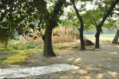 Kalın yeşil bitki örtüsü eski bir beton boruyu sarıyor. Aşırı büyümüş doğanın güzelliğini sergiliyor. İçinden yavaşça su akıyor..