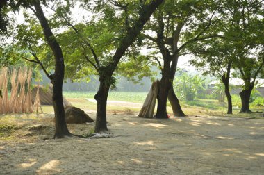 Kalın yeşil bitki örtüsü eski bir beton boruyu sarıyor. Aşırı büyümüş doğanın güzelliğini sergiliyor. İçinden yavaşça su akıyor..