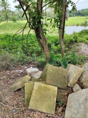 Kalın yeşil bitki örtüsü eski bir beton boruyu sarıyor. Aşırı büyümüş doğanın güzelliğini sergiliyor. İçinden yavaşça su akıyor..