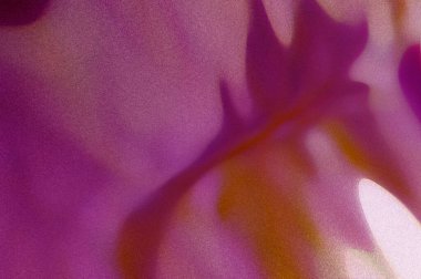 Pankart, poster, kapak, web sayfası, iniş sayfası, duvar kâğıdı tasarımı için soyut düz şekiller yumuşak tanecikli dokular renkli kırmızı arkaplan