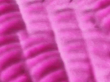 Pürüzsüz şekilleri ve yumuşak dokusu olan soyut mor arkaplan. Pankart, poster, duvar kağıdı ve web tasarımı için mükemmel.