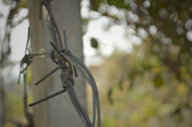 Yeşil yapraklar ve yumuşak bokeh arkaplan ile çitin etrafına sarılmış paslı dikenli teller, sınır, koruma, çürüme ve kırsal yalıtım çağrıştırıyor.