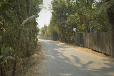 Sessiz, kıvrımlı bir köy yolu sık yeşil ağaçların ve ormanın içinden geçer. Huzurlu bir kırsal alan oluşturur. Güneş ışığı, doğa ve yalnızlık seyahat, yürüyüş ve açık hava yaşam tarzları için idealdir..