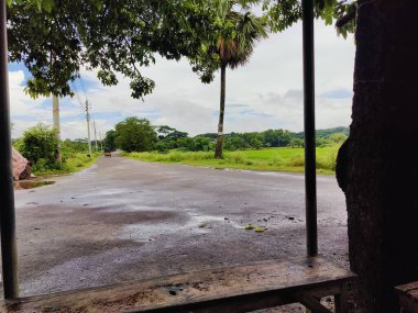 Bir sürü ağacı olan boş bir yol.