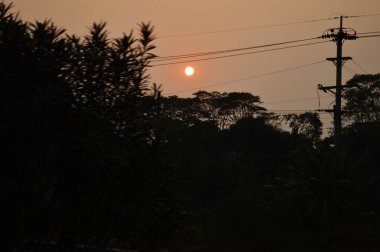 Siluetli ağaç dallarının arkasında parlayan bir güneş batıyor, akşam gökyüzünü ve uzak ağaç hattını turuncu bir sis kaplıyor. Sessiz, karamsar atmosfer sakin, yalnız ve düşünceli doğa manzarasını çağrıştırıyor..
