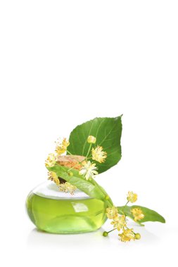 ıhlamur beyaz arka plan üzerinde uçucu yağ