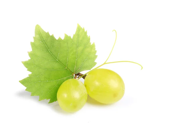 Raisin Vert Avec Feuille Isolée Sur Fond Blanc — Photo