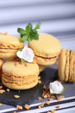 french vanilla macaroons on a slate