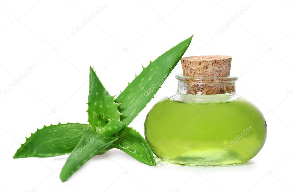 Aloe Vera Stock Photos Royalty Free Aloe Vera Images Download Pictures On Depositphotos